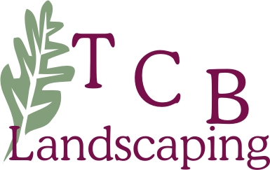 TCB Logo